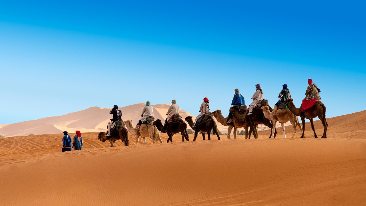 desert, the sand dunes, caravan, camel, berber, morocco, sahara, landscape, africa, sand, hot, nature, adventure, dune, drought, sky, peace of mind, marroc, travels, tourism, mood, erg chebbi, merzouga, camel, morocco, morocco, morocco, sahara, merzouga, merzouga, merzouga, merzouga, merzouga