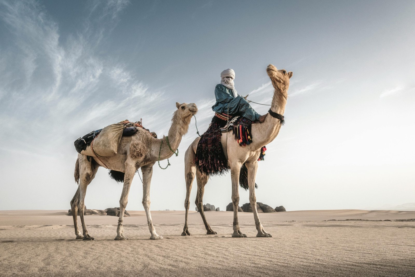 Bedouin man riding camels in the vast desert of Tamanrasset, Algeria.