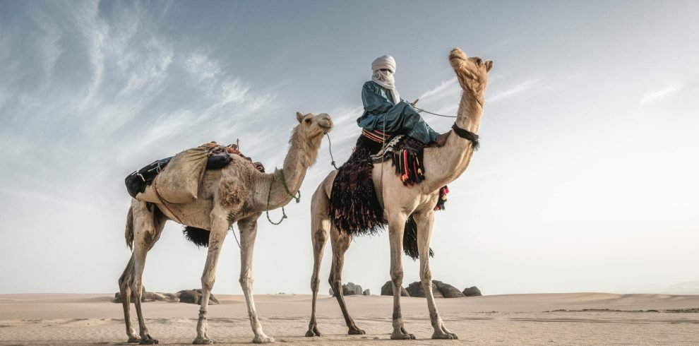 Bedouin man riding camels in the vast desert of Tamanrasset, Algeria.