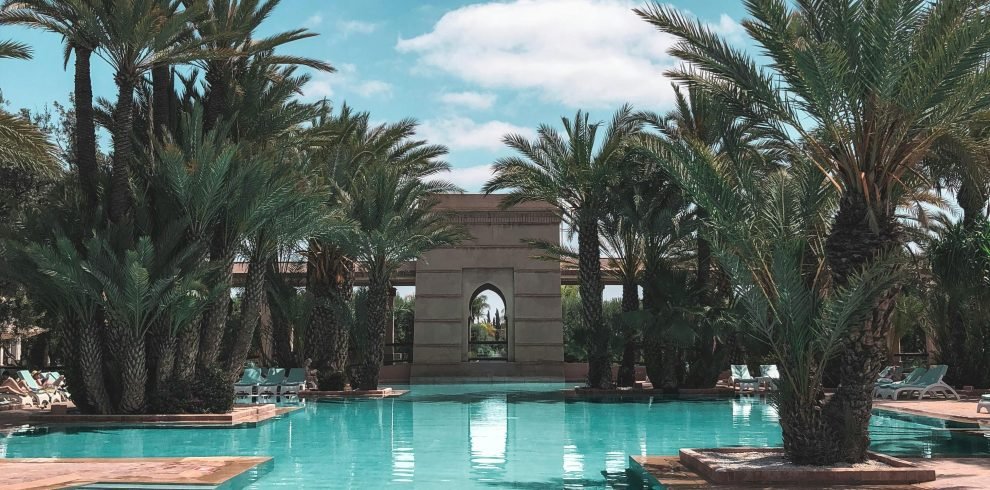Discover tranquility at this serene pool surrounded by lush palm trees under a bright blue sky in Marrakech.