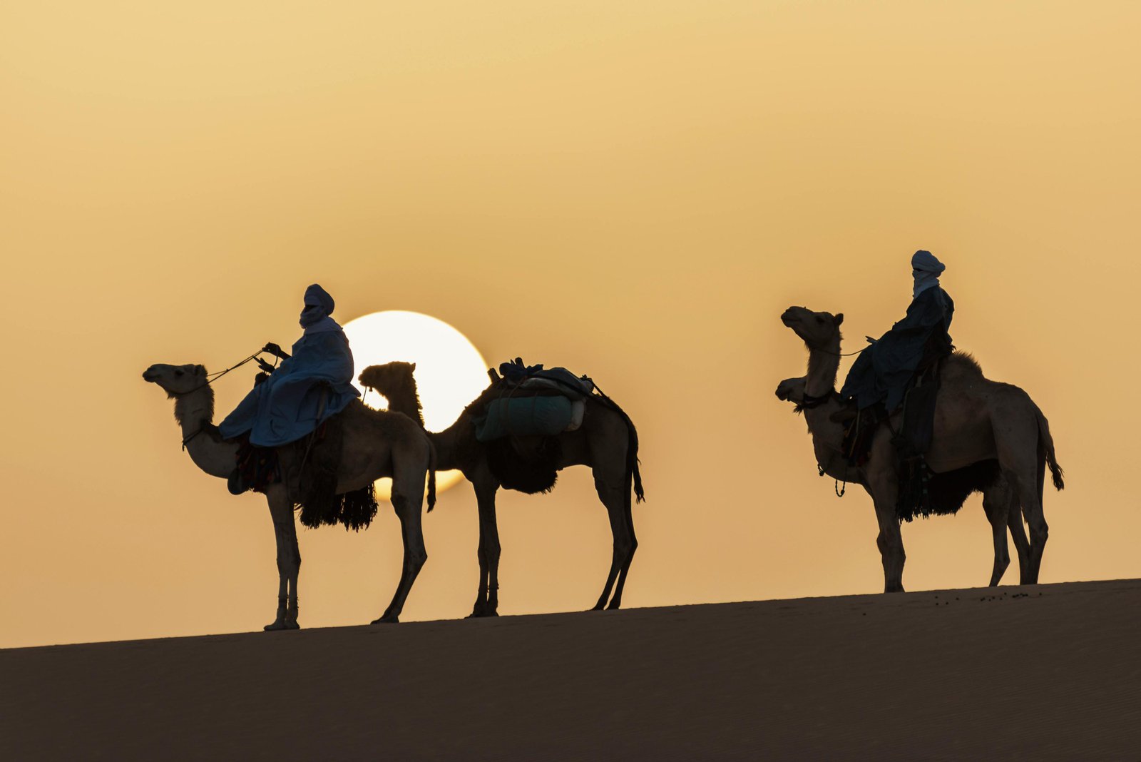 Silhouettes of camel riders in the Sahara Desert during a sunset in Tamanrasset, Algeria.