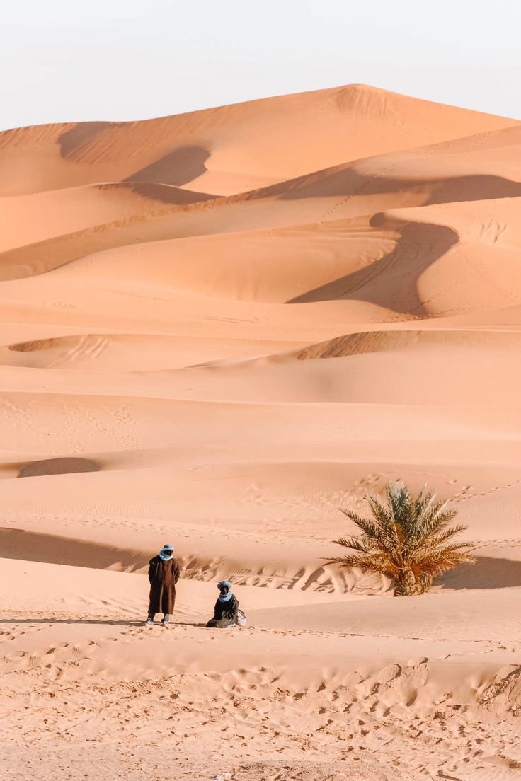 Marrakech Desert Tours