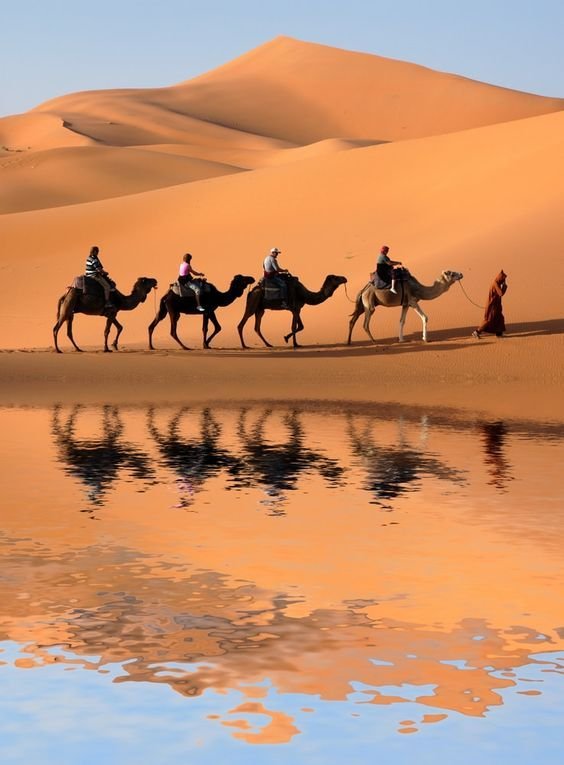 Private Morocco Tours
