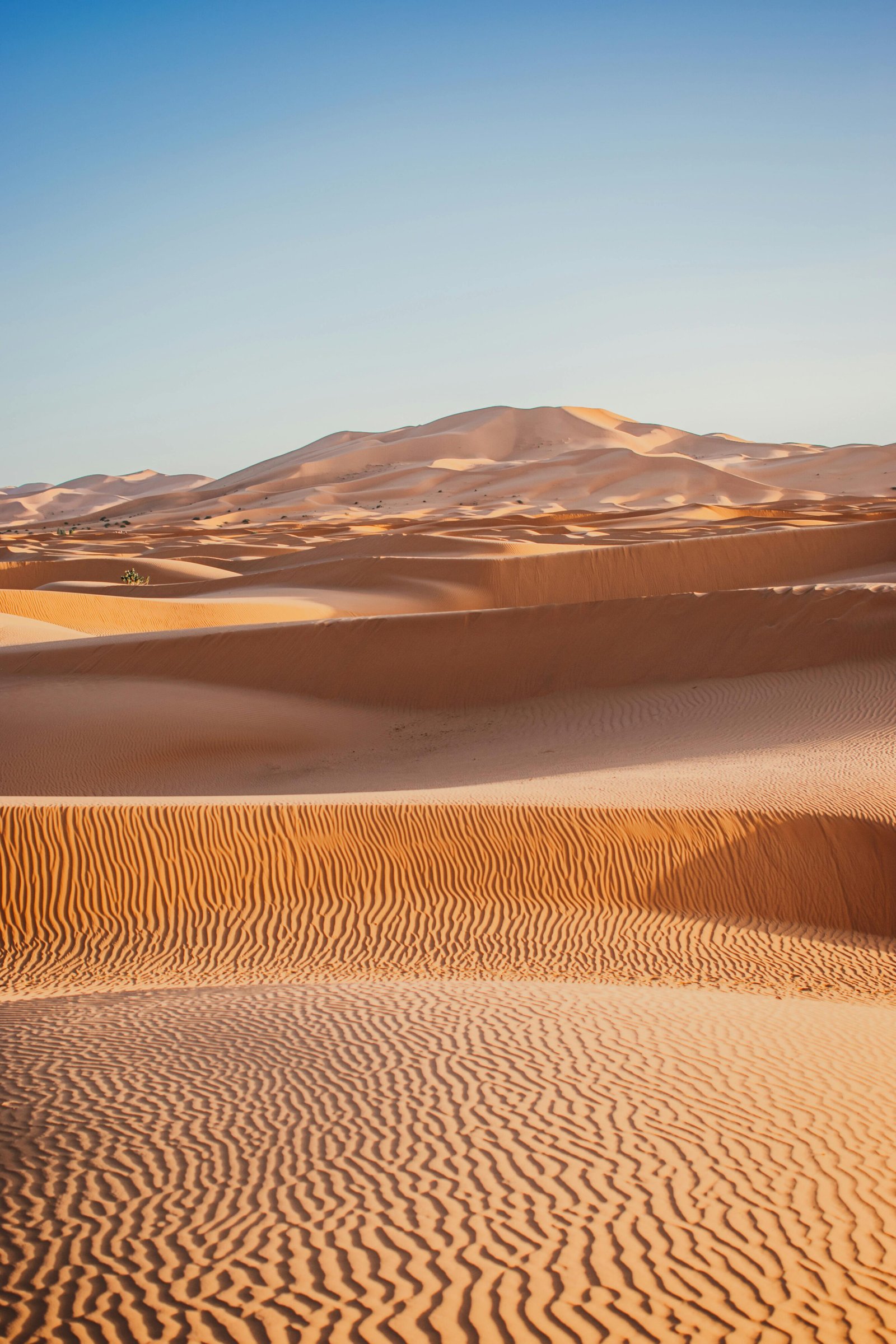 Captivating view of the vast sand dunes in the Merzouga Desert, Morocco, under a clear blue sky.