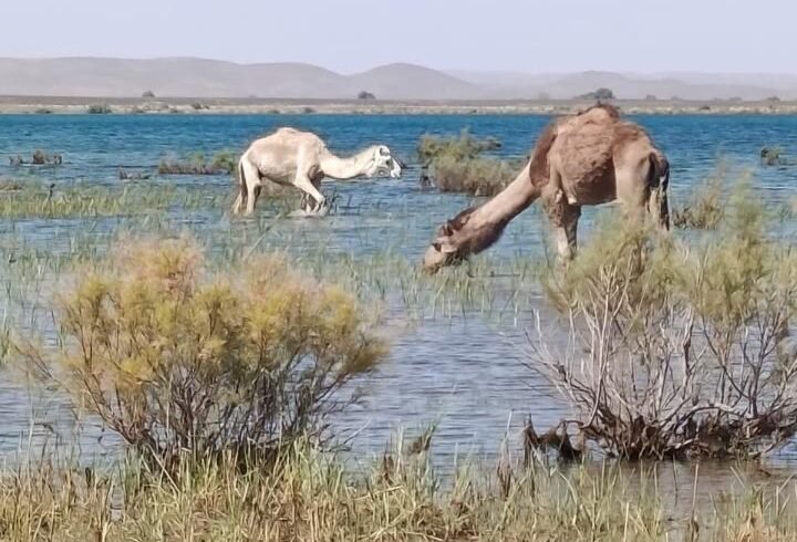 3 Días desde Ouarzazate