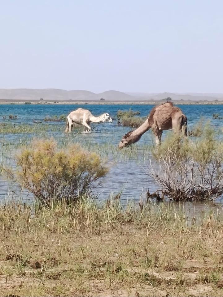 3 Días desde Ouarzazate
