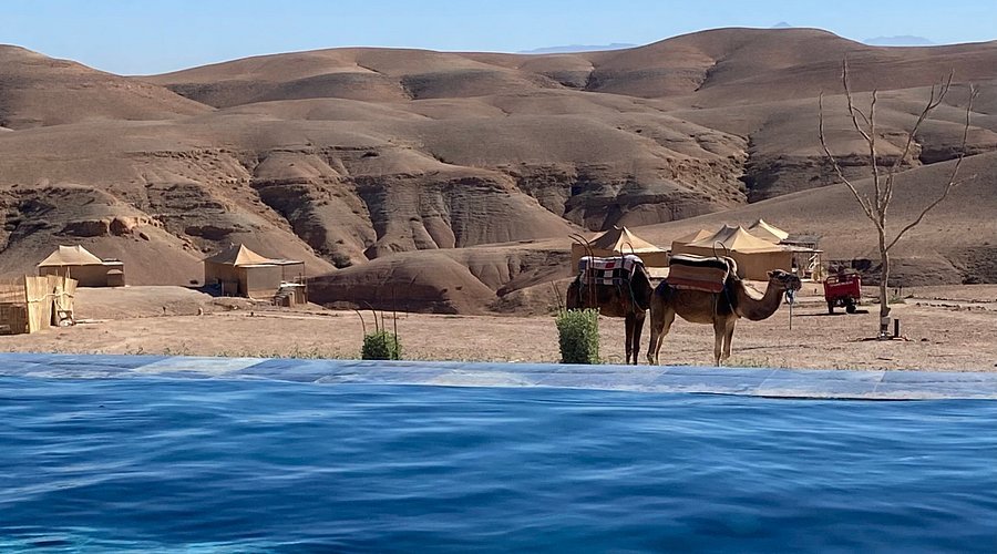 1 Día al Desierto de Agafay